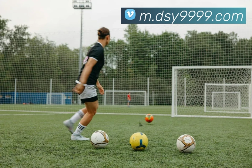 大三元官网平台登录APP 高清赛事图